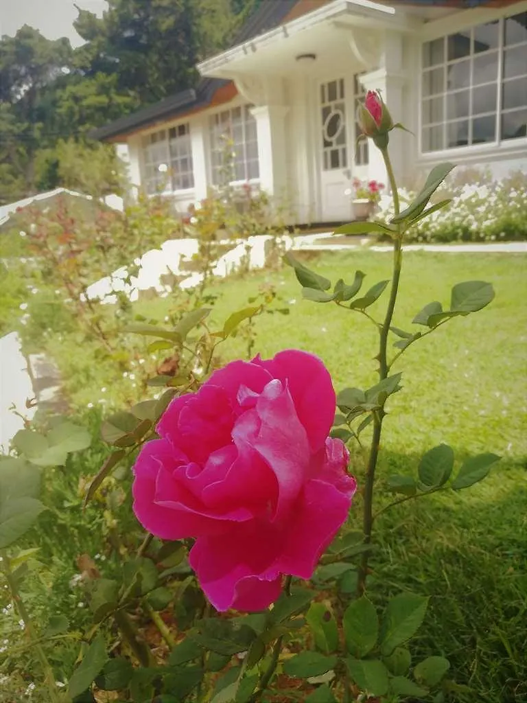 The Victoria Bungalow Nuwara Eliya